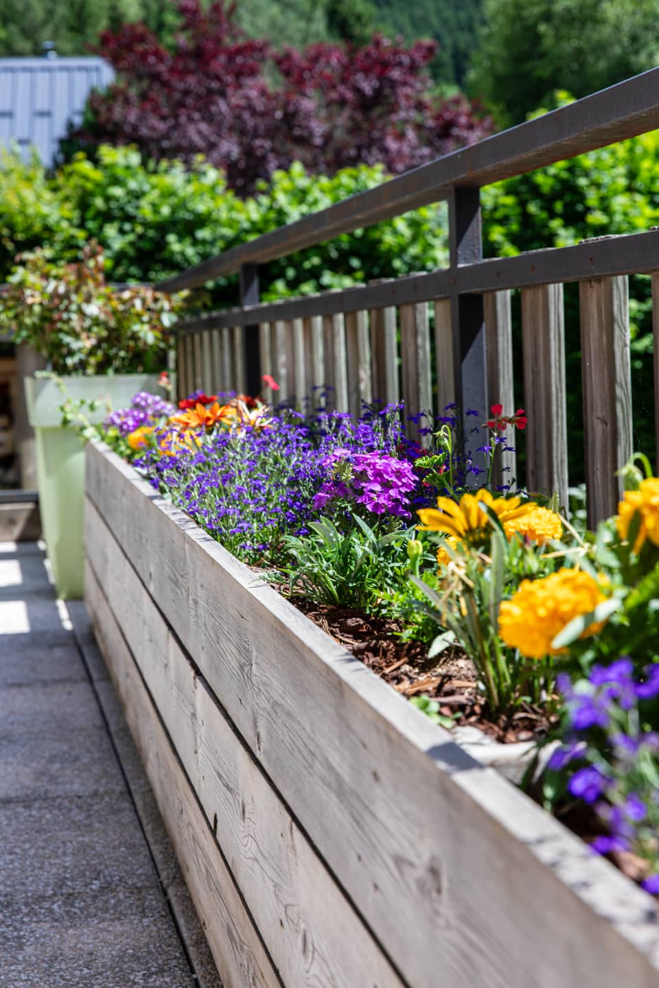 gallery slider image